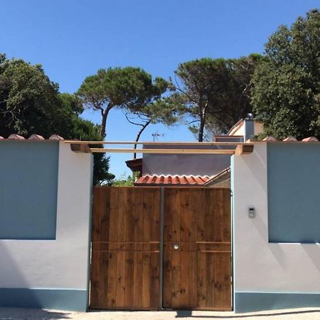 Ferienwohnung Viareggina Con Giardino Marina Di Pisa Exterior foto